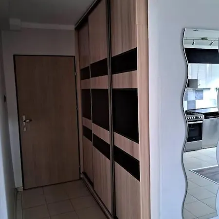 Apartament Na 4 Pietrze Новий Тарг Екстер'єр фото