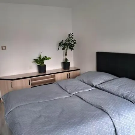 Apartament Na 4 Pietrze Новий Тарг Екстер'єр фото