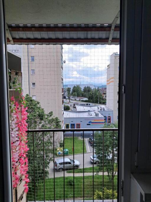 Na 4 Pietrze *